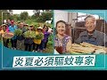 草地狀元-炎夏必須驅蚊專家(20190603播出)careermaster