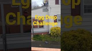 Egg Drop Challenge #eggdrop #easteregg #homeschool #homeschoolscience