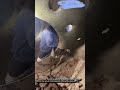 Powerful Jackhammer Clearing Concrete Inside a Circular Tank #demolition #construction #jackhammer