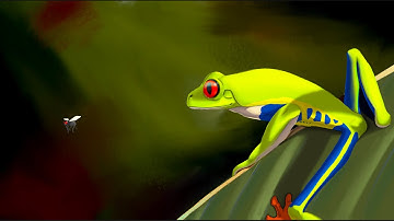 Procreate- Red Eyed Tree Frog time lapse
