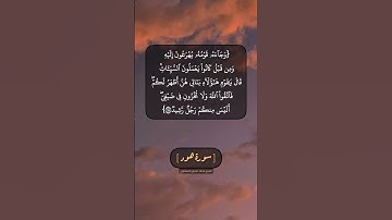 سورة هود الآية ٧٧ و ٧٨ بصوت الشيخ محمد صديق المنشاوي