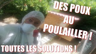 Des Poux Au Poulailler Les Solutions