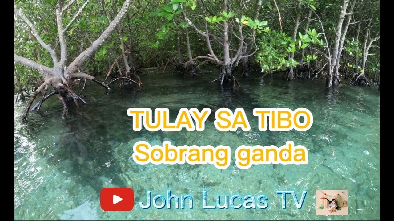 Tulay sa Tibo @ Gubat Sorsogon #amazingplaces  #bestplace #mangrove @#gubatsorsogon #sorsogon #bicol