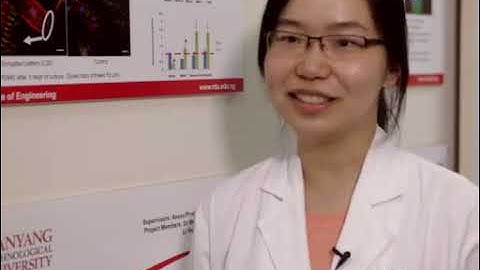 Design & Construction Of Artificial Extracellular Matrix Proteins From E.coli l Protocol Preview