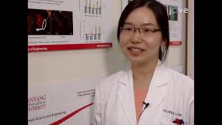 Design & Construction Of Artificial Extracellular Matrix Proteins From E.coli l Protocol Preview