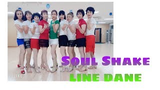 Video thumbnail of "Soul Shake -line dance"