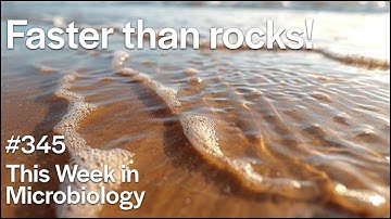 TWiM 345: Faster than rocks!