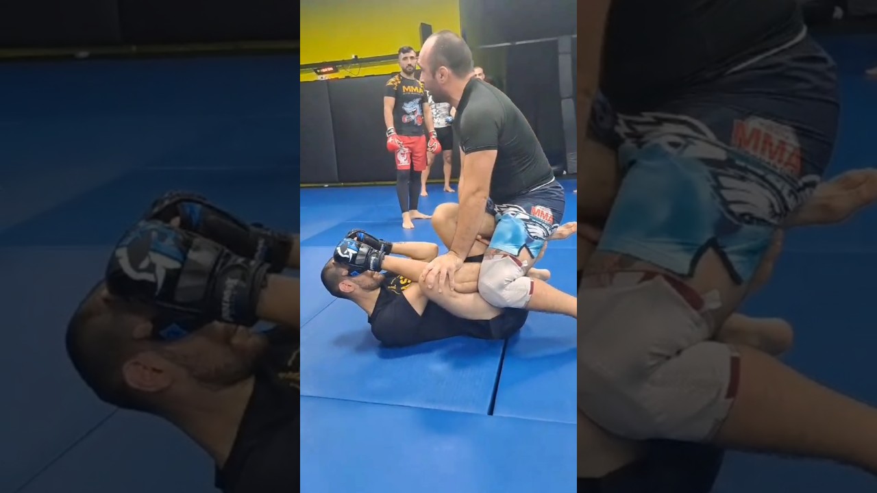 MMA Semineri İstanbul (Egitmen Egemen Baranok)