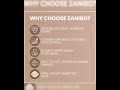 Zanibo | Since 1997 | 2000 Watt Portable Electric Room Fan Heater with 2 Heating Settings (1000/2...
