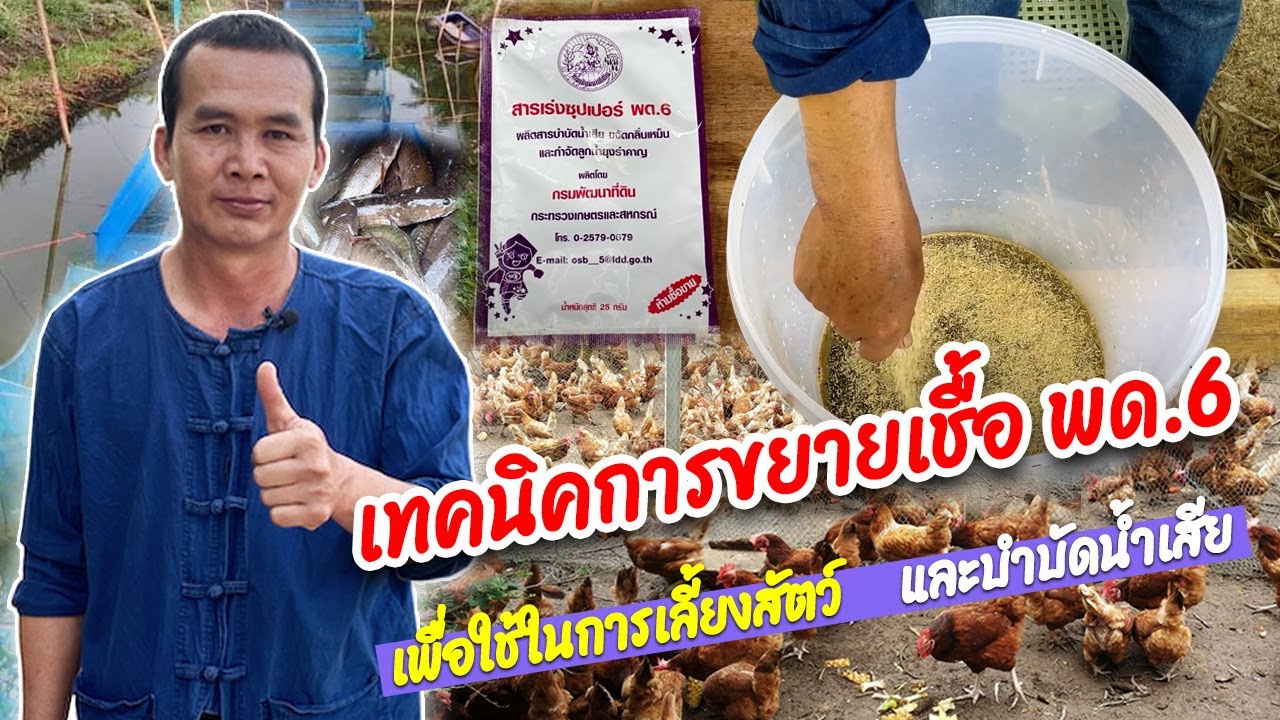 การขยายเชื้อ พด.6 เพื่อใช้ในการเลี้ยงสัตว์และบำบัดน้ำเสีย
