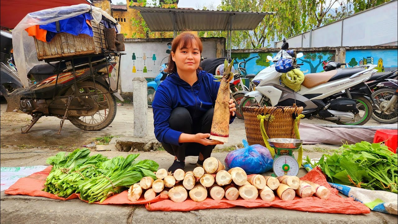 Harvest bamboo shoots and vegetables and bring them to the market to sell