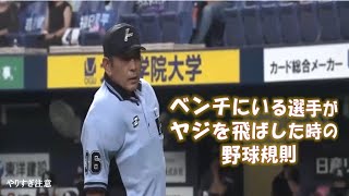 【野球ルール】ベンチにいる選手がヤジを飛ばした時の規則　眞鍋審判員の注意　《クイズで覚える野球規則》