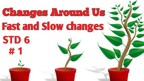 Changes around us #Fastandslowchanges Class 6 Science Part 1@The Numerical