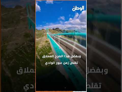 يختصر زمن الرحلة من ساعتين إلى دقيقتين الصين تفتتح أطول جسر في العالم