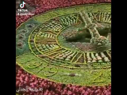 وان تعفوا وتصفحوا فذلك خير لكم