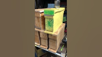 Easy Bee 2 frame NUC