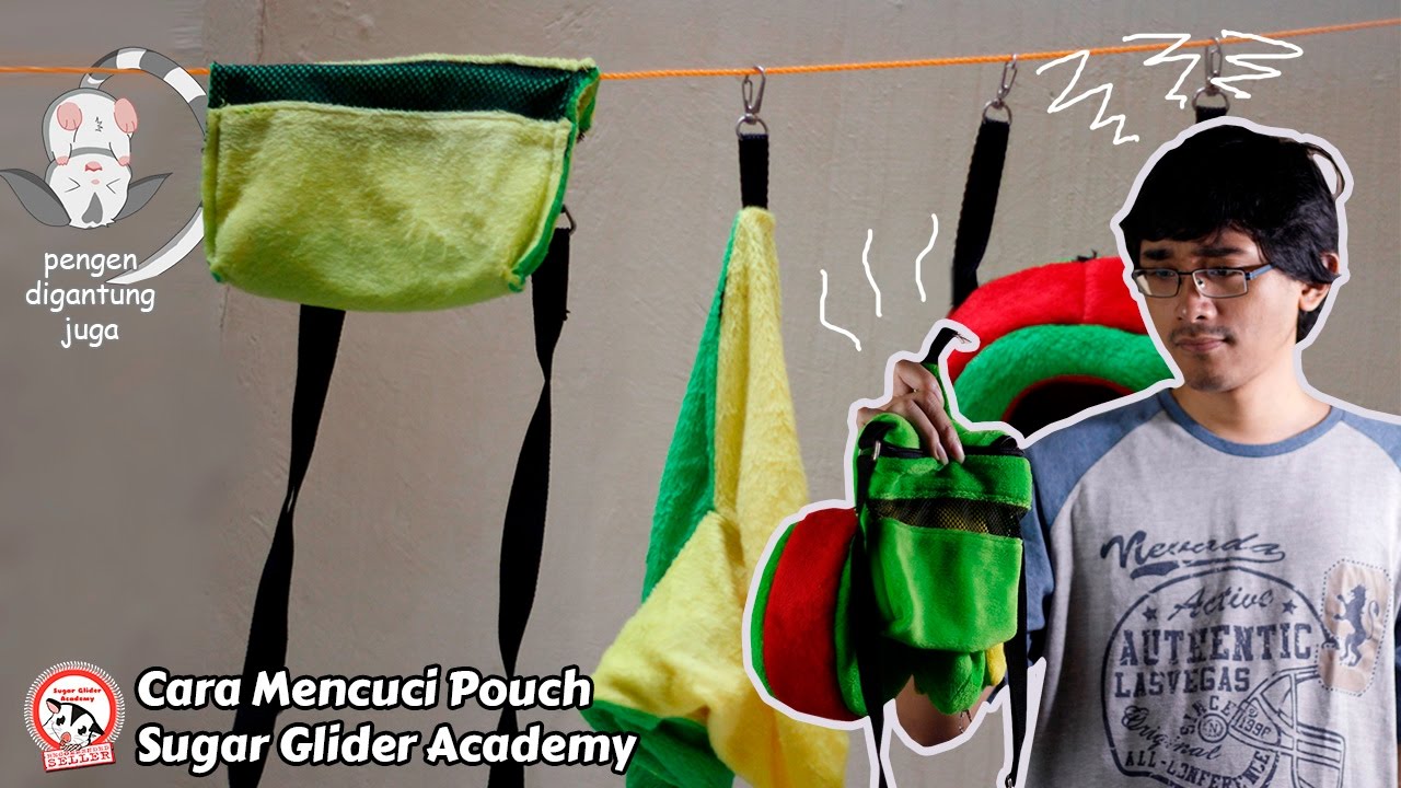 Cara Mencuci Pouch Sugar Glider Academy 