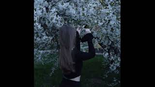 картинка: Вовчиця - #hoodtrap #remix