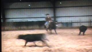 2006 Bay Mare by SR Instant Choice