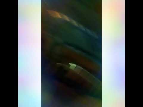 اهوه خاسرني فهد العرادي و العشير