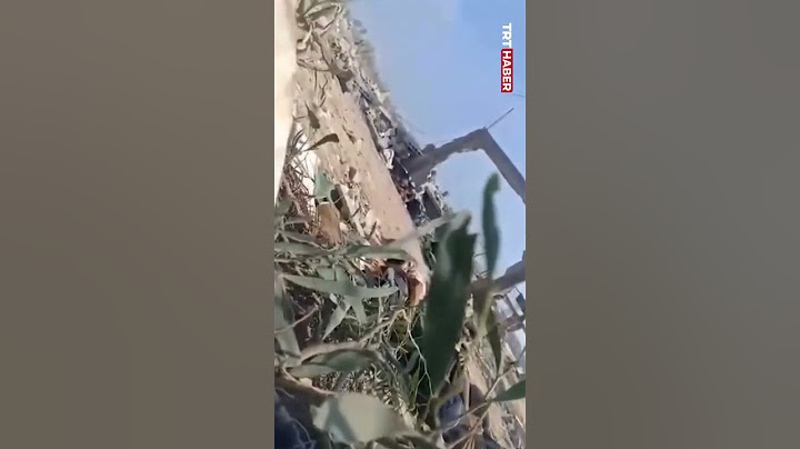 Soykırımcı İsrail yardım bekleyen Filistinlilere ateş açtı