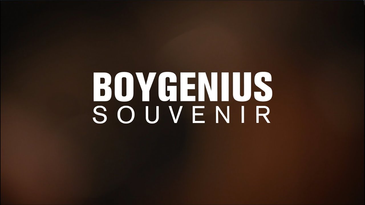 Boygenius Singers Fan Wedding Offer Get The Details - 4p1zqf9