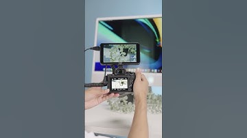 Improve your next video shoot with an external monitor:)