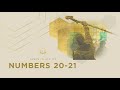 THE BRONZE SERPENT | Bible Study | Numbers 20-21