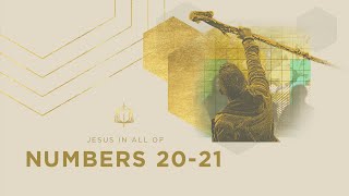 Numbers 20-21 | The Bronze Serpent | Bible Study
