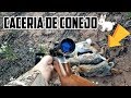 Caza De Conejo con rifle 22 en el peligroso Decierto