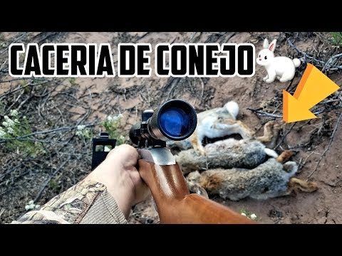 Vídeo: Com Netejar Un Rifle De Caça