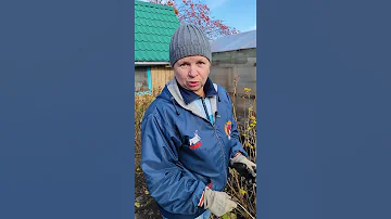В лесу малину кто пригибает?!
