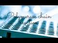 Polymerase Chain Reaction -PCR