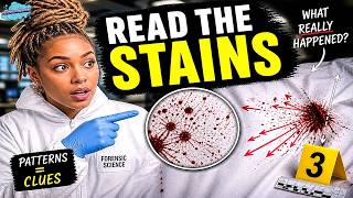 Blood Splatter on Fabric: How Forensic Scientists Read the Clues