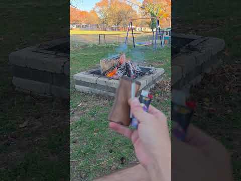 And Now Its Cold But The Other Day Was Nice Missouri Mobuds314 November