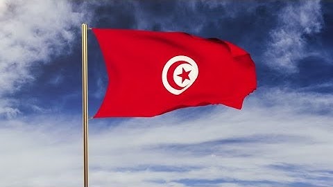 4K Tunisia flag waving in the wind. Green screen, alpha matte. Loopable animation Stock video