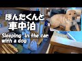 自作キャンピングカーで愛犬と車中泊