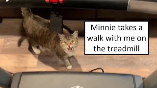 Minnie takes a walk with me on the treadmill