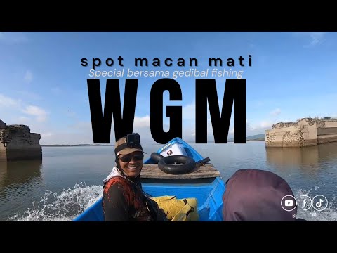 Suara Burung Prenjak Tamu Betina Ngebren Panjang, Masteran Paling Disukai Juri | Kicau Tembak