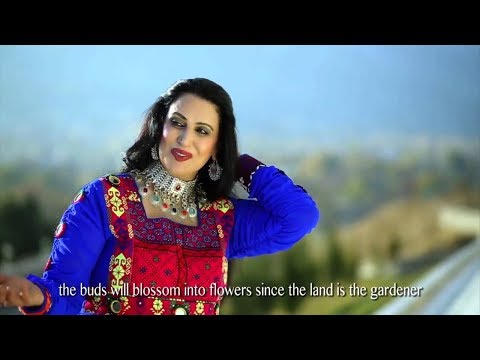      نغمه