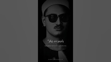 وَأَصْلِحُوا ذَاتَ بَيْنِكُمْ ۖ  | محمد صديق المنشاوي | سورة الأنفال