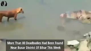 Floating Death In The River- UP-Bihar