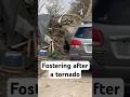 These foster families weren’t stopped by a tornado destroying their homes. #fostercare #arkansas