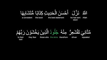 The Quran- Az-Zumar (135-141)-Muhammad Al-Luhaidan| القرآن - محمد اللحيدان سورة الزمر  ايات  ٢٢ - ٢٣