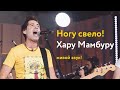 Ногу свело! – Хару Мамбуру (живой звук!)