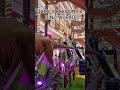 jungle kingdom DINO WORLD #entertainment #shortvideo #mall #dinosaur #summercamp