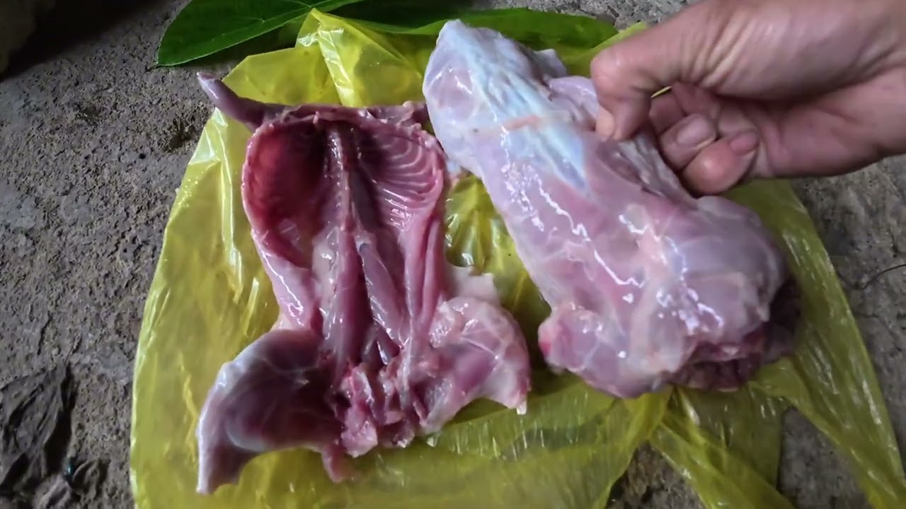 Chỗ mọi người gọi đây là con gì 