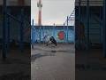 Вызов 10 раз на одной руке 💪😄 я снова крут #sport #live #motivations #pushups #challenge #вызов