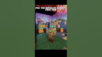 POV: You installed shaders first time #minecraft