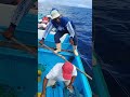 Pesca de picudo a 100 milla de ESMERALDAS-ECUADOR